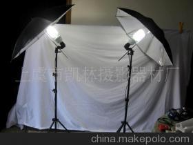 【单灯头人像摄影套装】价格,厂家,图片,其他摄影摄像设备器材,姚忠-