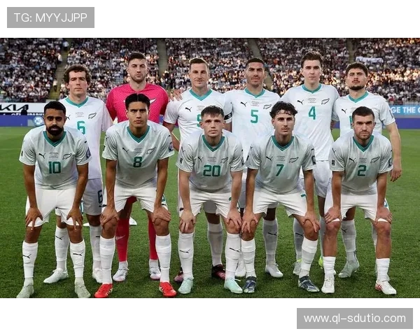 2026世界杯两支直接参赛球队解读与分析：历史背景与晋级之路